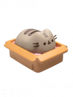 Spardose Pusheen - Package