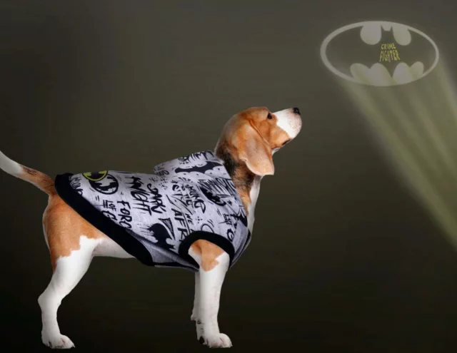 Anzug für Hund DC Comics - Batman - Haustierbedarf