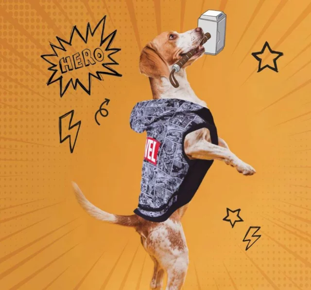 Anzug für Hund Marvel - Logo - Haustierbedarf