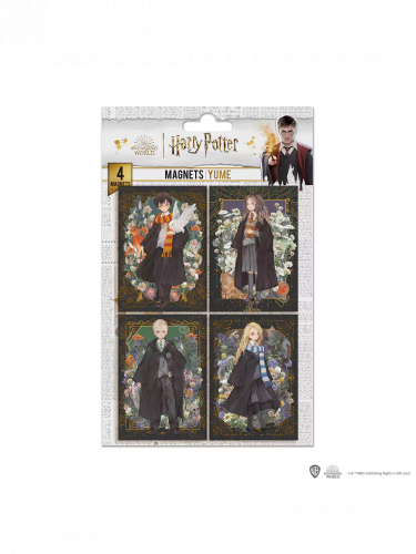 Magnet Harry Potter - Portraits (4 ks)