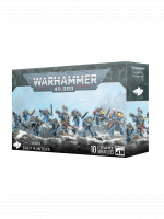 W40k: Space Wolves - Grey Hunters (10 Figuren)