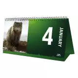 Kalender BBC Earth 2027 (Tisch) - Tierische