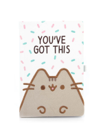 Notizbuch Pusheen - You've Got This