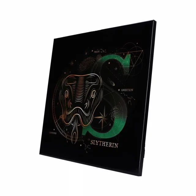 Bild Harry Potter - Slytherin Celestial Crystal Clear Art Pictures (Nemesis Now) - Gerahmte Poster