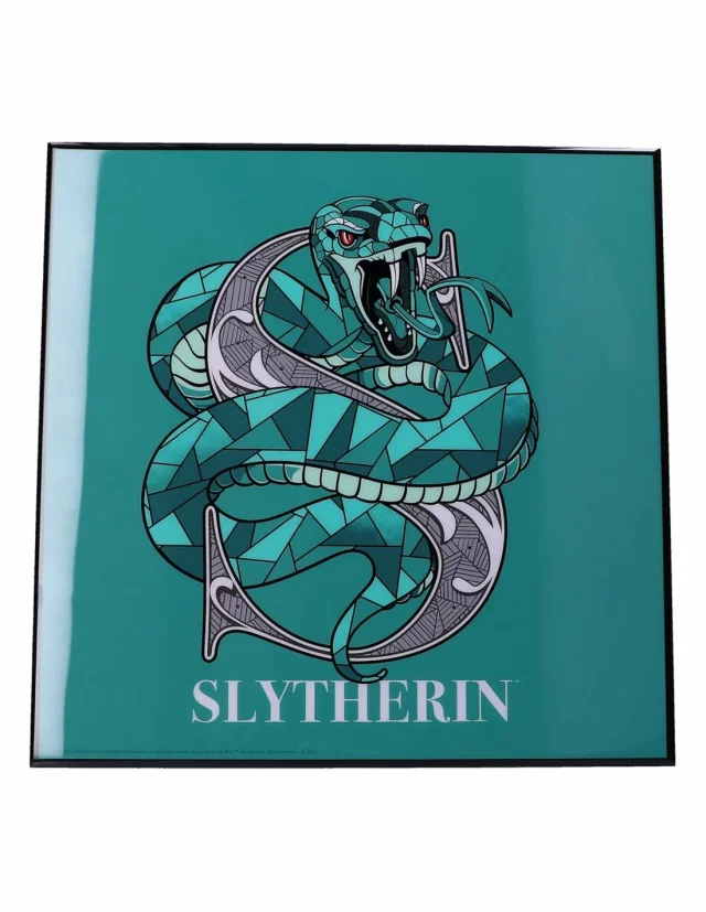 Bild Harry Potter - Slytherin Crystal Clear Art Pictures (Nemesis Now) - Poster