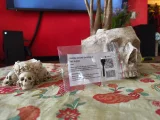 recenze-ohodnoceni